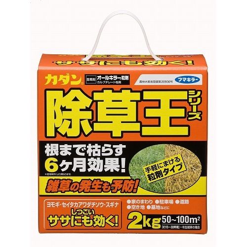 F オールキラー粒剤  2kg      (10)