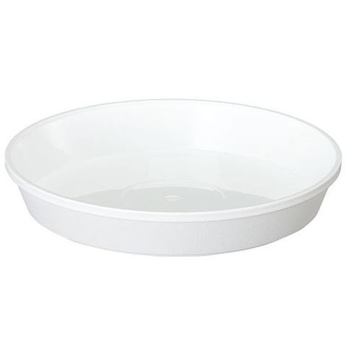 大和 鉢皿 サル－ン 2号 W （200）