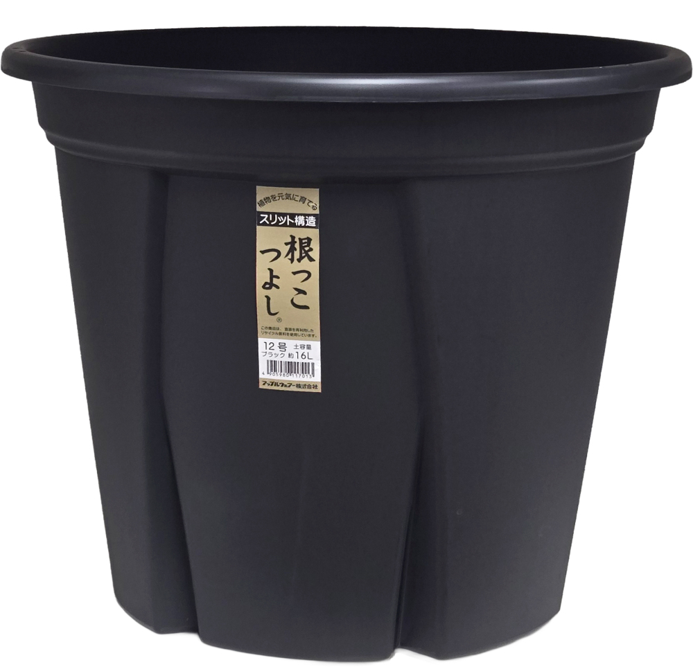 根っこつよし　１２号　BK