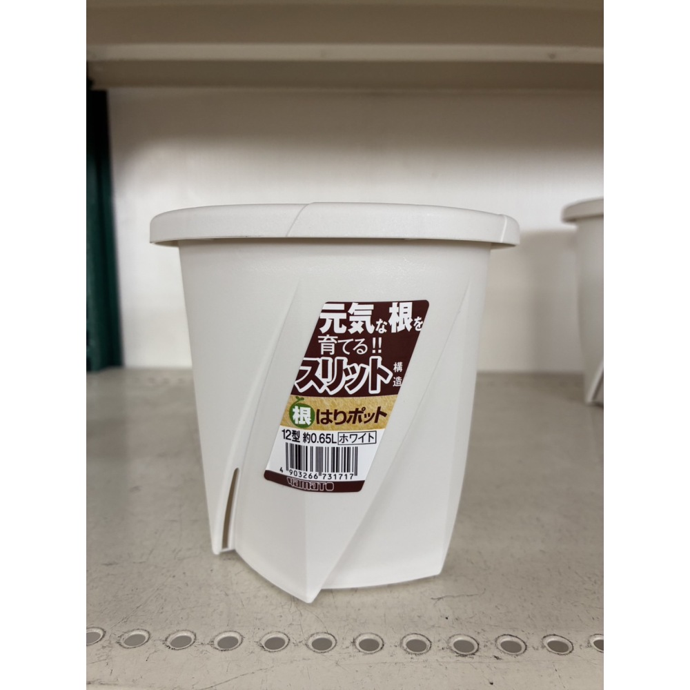 根はりポット　１２型　ホワイト　発注単位５コ～