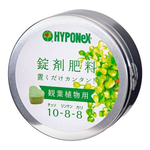 HYPO　錠剤肥料　観葉植物用　約７０錠