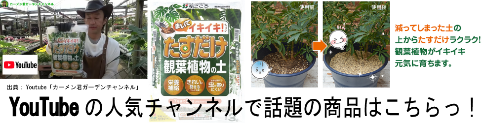 YouTube カーメン君 ガーデンチャンネル 花ごころ たすだけ観葉植物の土 3L